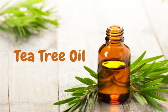 Tea tree oil