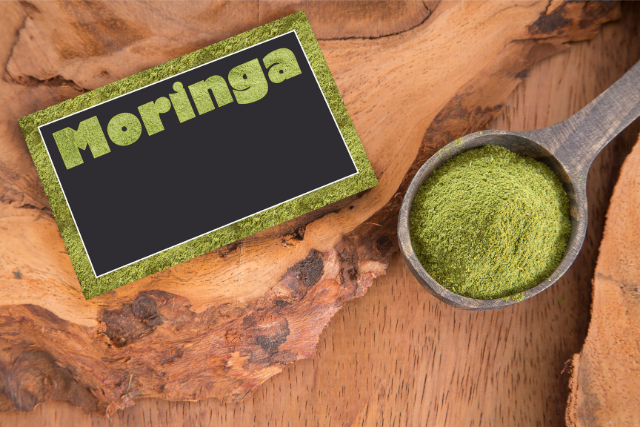 Moringa Oleifera