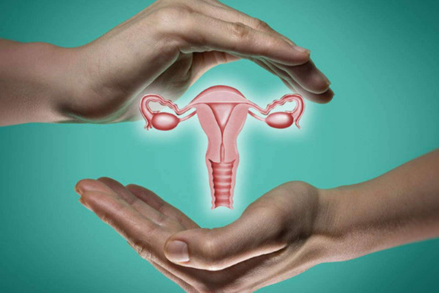 Shatavari Promotes Female Reproductive Health 